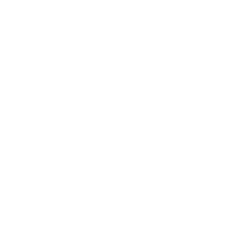 Fallen Fury